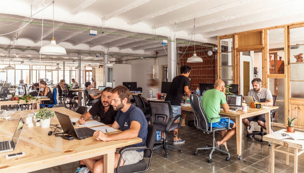 alphagamma do co-working spaces enhance productivity entrepreneurship startups
