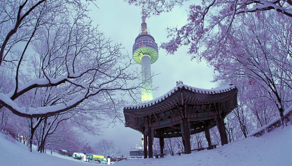 alphagamma winter abroad at yonsei opportunities