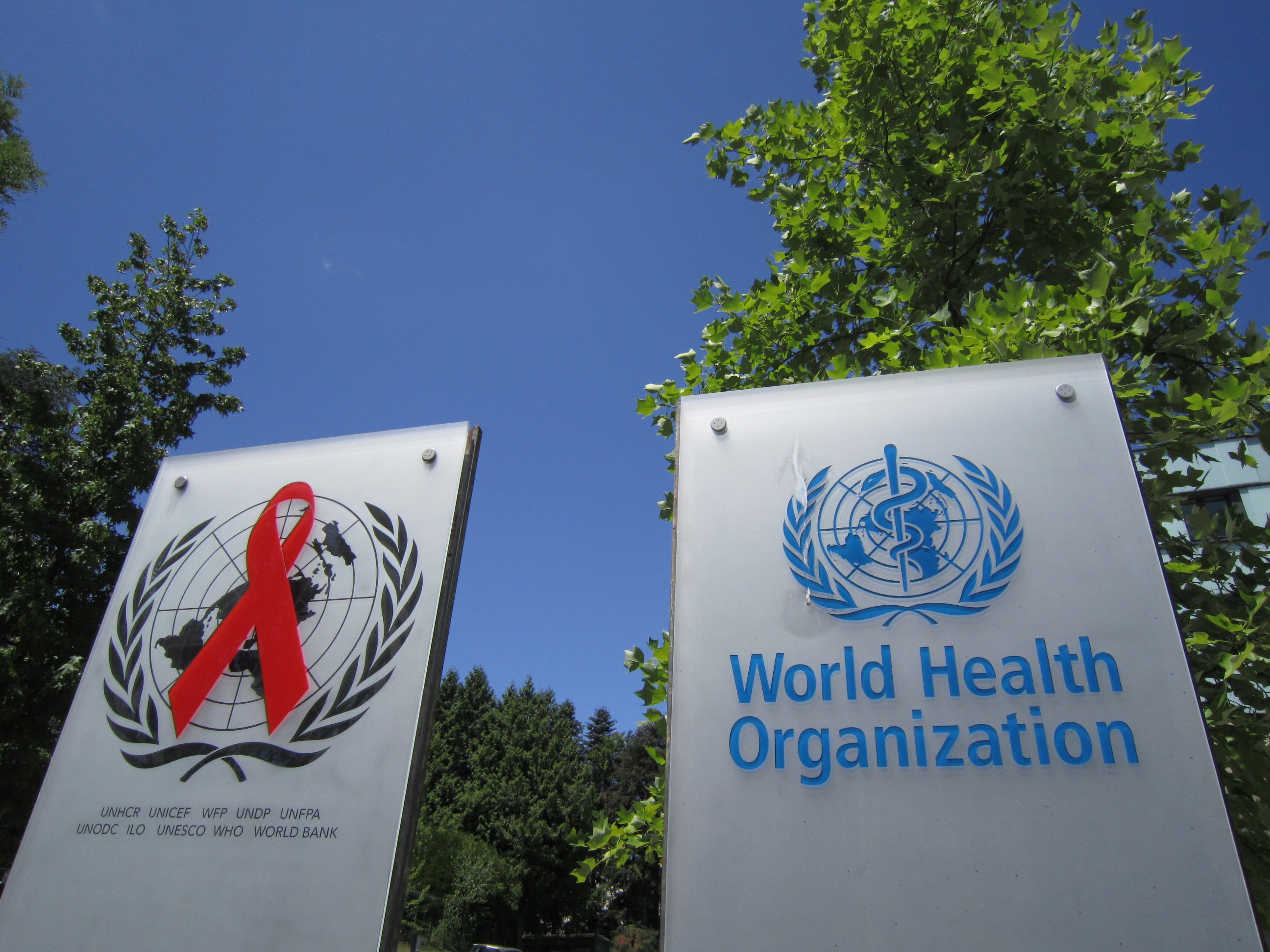 World Health Organization Internships 2017 | AlphaGamma