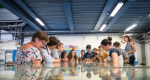 alphagamma CERN Administrative Student Programme 2019 opportunities