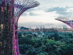 alphagamma SASEAF Programme 2024 opportunities